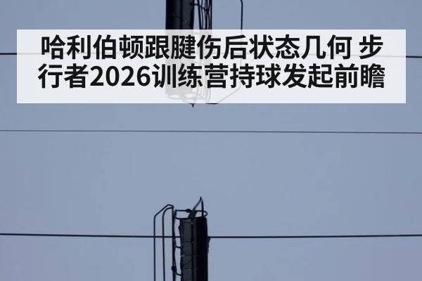 哈利伯顿跟腱伤后状态几何 步行者2026训练营持球发起前瞻